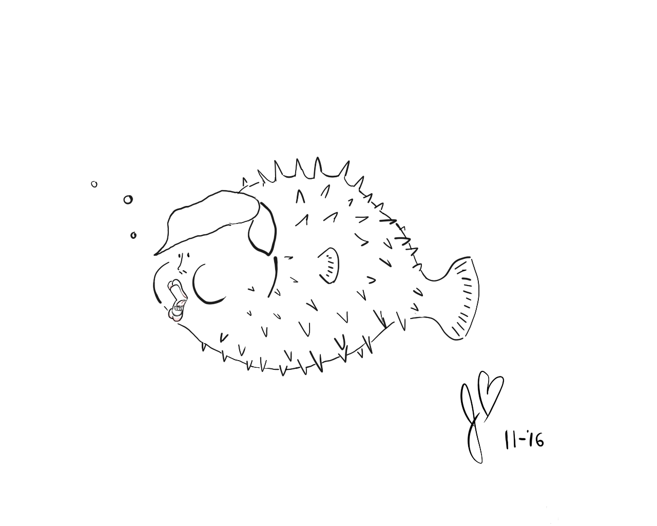 puffer-bw